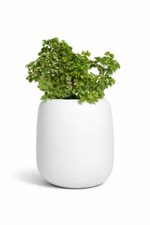 Pod - White - Fiberglass planter