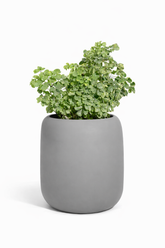 Pod - Teal Gray- Fiberglass planter
