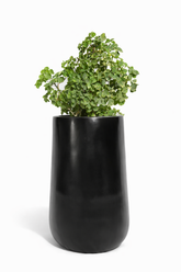 Rise - Black - Fiberglass Planter