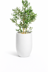 Snowcap - White - Fiberglass Planter
