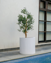 Ripple - White - Fiberglass Planter
