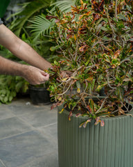 Opal Fluted - Army Green - Fiberglass Planter