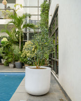 Core - White - Fiberglass Planter