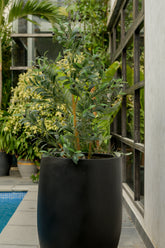 Snowcap - Black - Fiberglass Planter