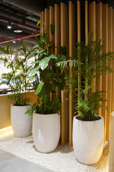 Snowcap - White - Fiberglass Planter