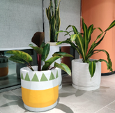 Meadow Mix - Concrete Planter