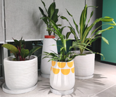 Winter Peak - Concrete Planter