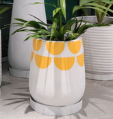 Pop of Sun - Concrete Planter