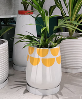 Pop of Sun - Concrete Planter