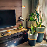 3 Musketeers - Set of 3