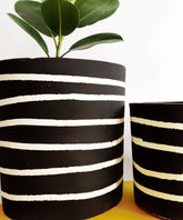 Decor - Blaze - Set of 2