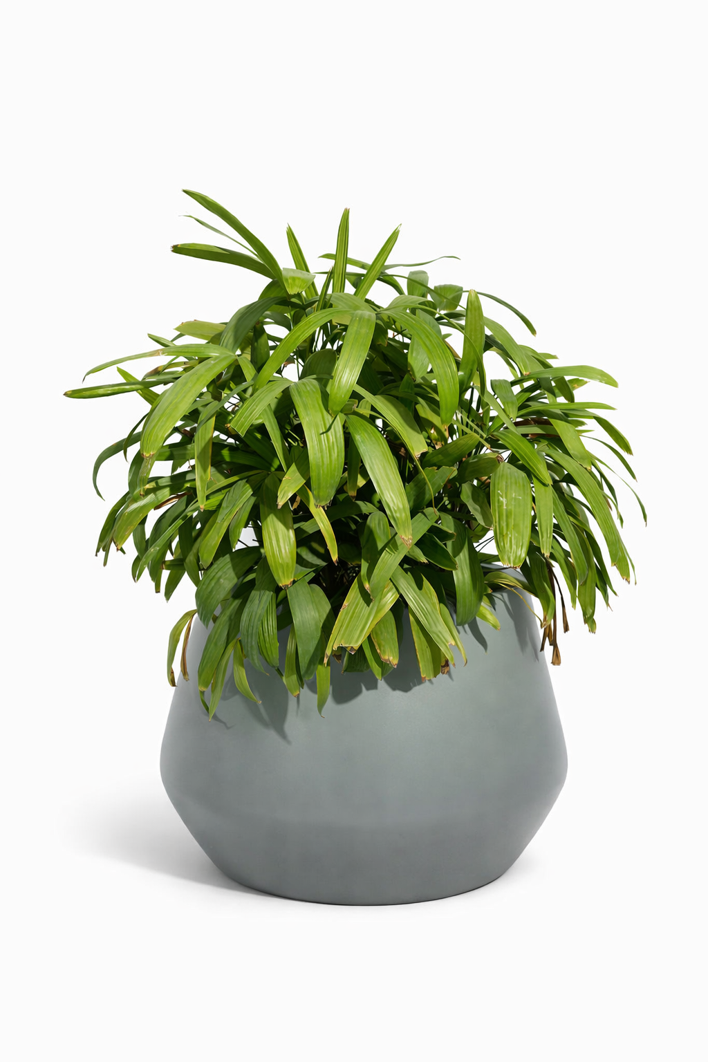Belly - Teal Gray - Fiberglass planter