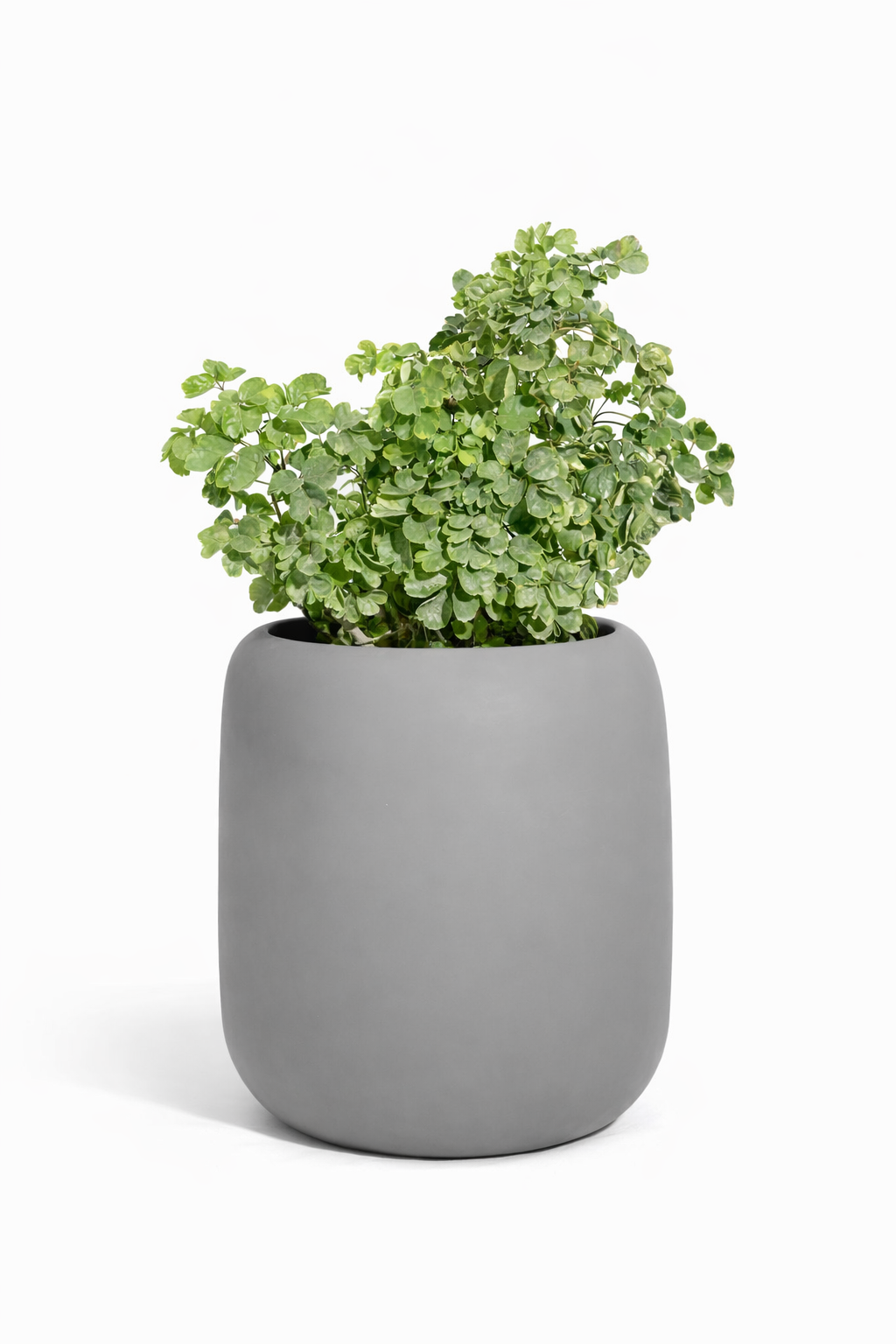 Pod - White - Fiberglass planter
