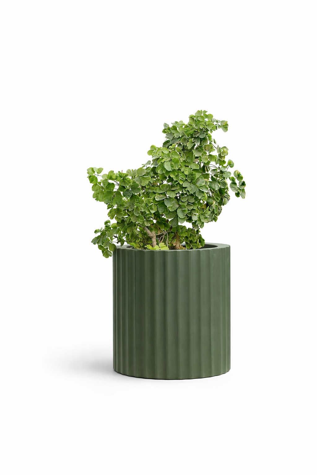 Ripple - White - Fiberglass Planter