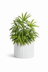 Ripple - White (M) - Fiberglass Planter