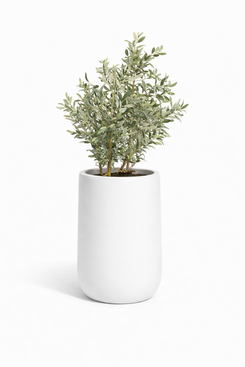 Rise - White - Fiberglass Planter
