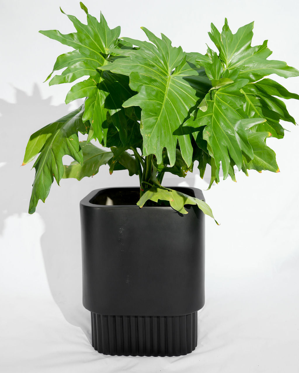 Groove - Black - Fiberglass Planter