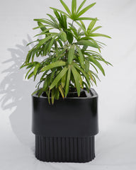 Groove - Black (M) - Fiberglass Planter