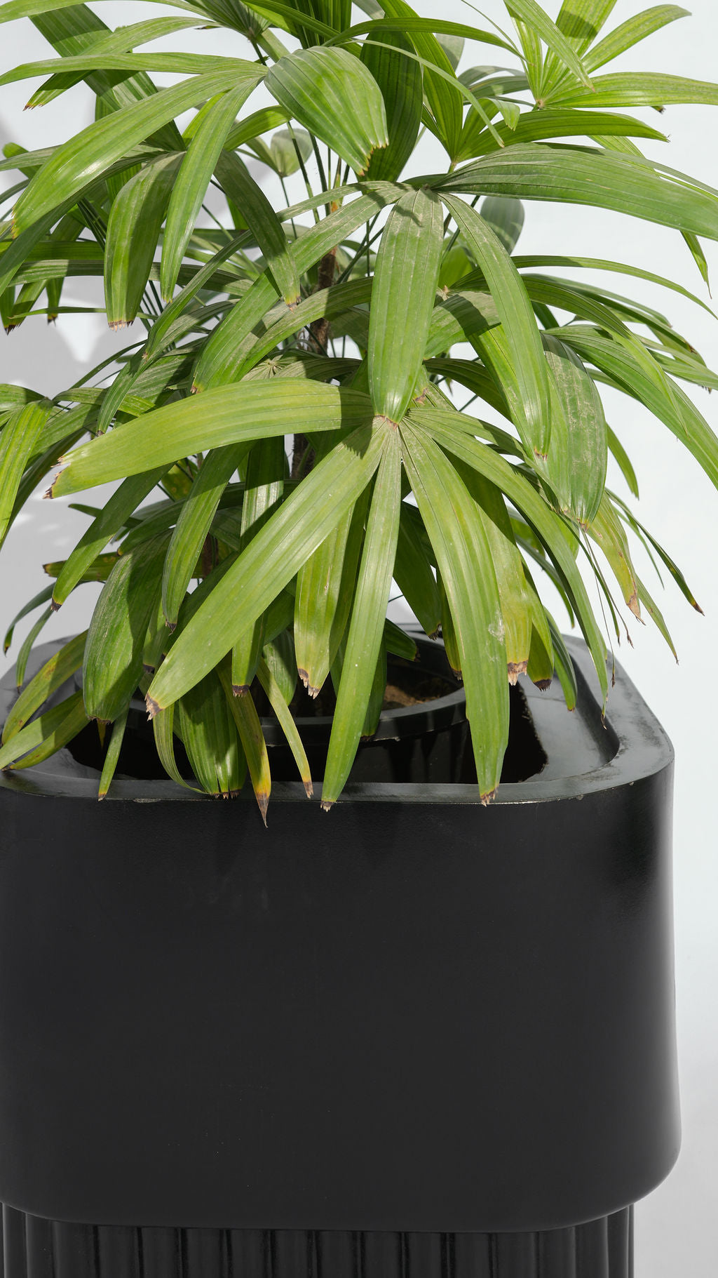 Groove - Black - Fiberglass Planter