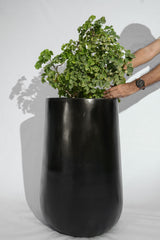 Rise - Black - Fiberglass Planter