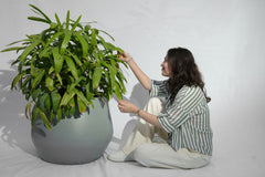 Belly - White - Fiberglass planter