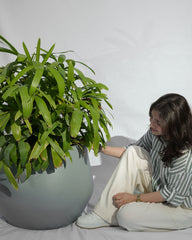 Belly - Teal Gray - Fiberglass planter