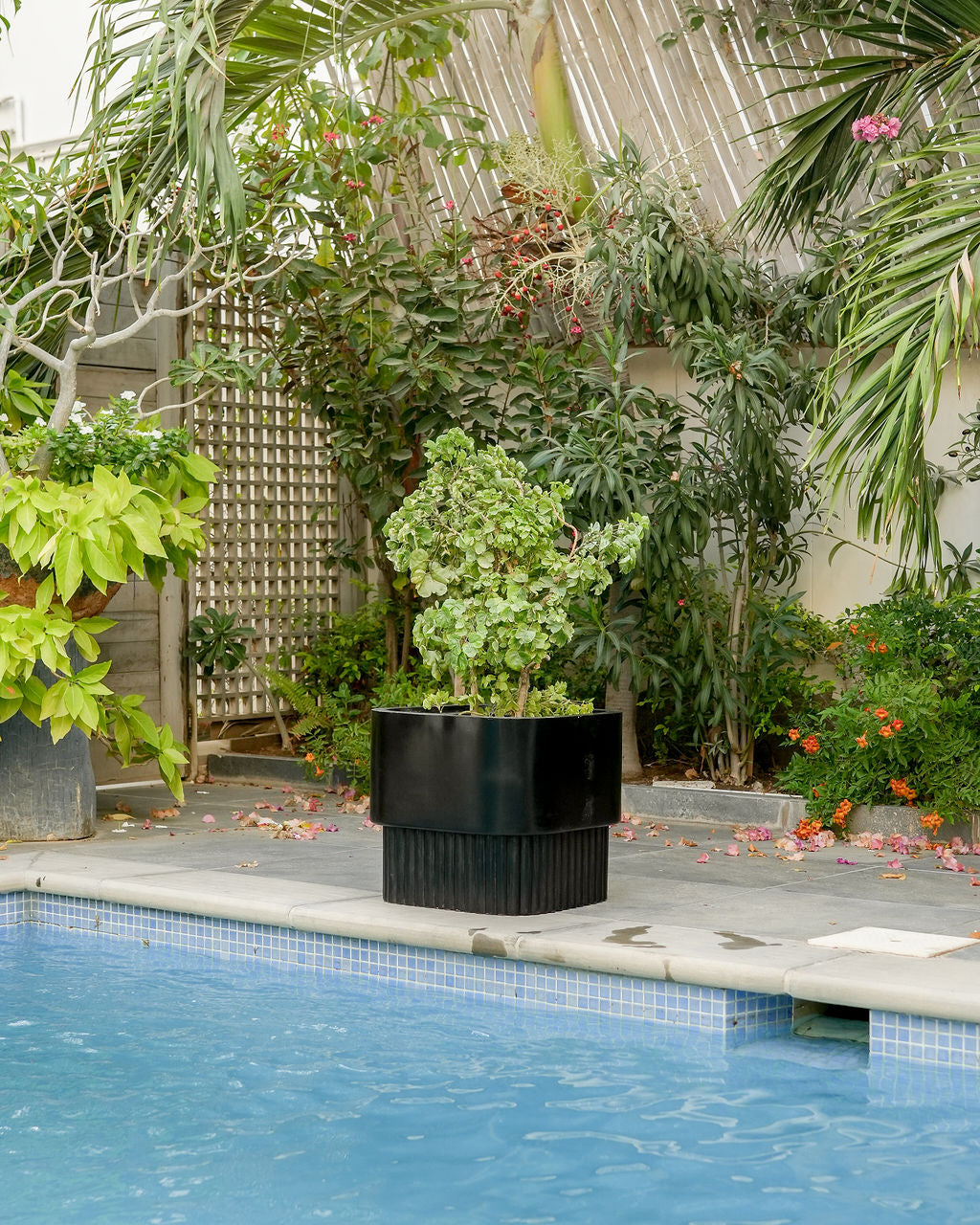 Groove - Black - Fiberglass Planter