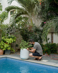 Pod - White - Fiberglass planter