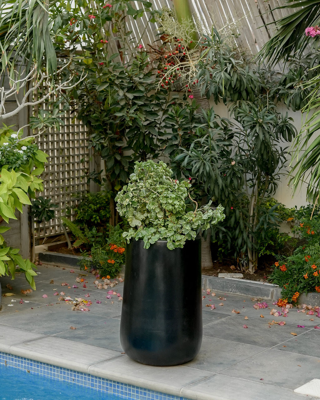 Rise - Teal gray - Fiberglass Planter