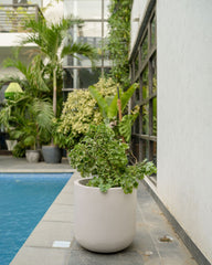 Core - Cream - Fiberglass Planter