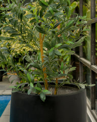 Snowcap - Black - Fiberglass Planter