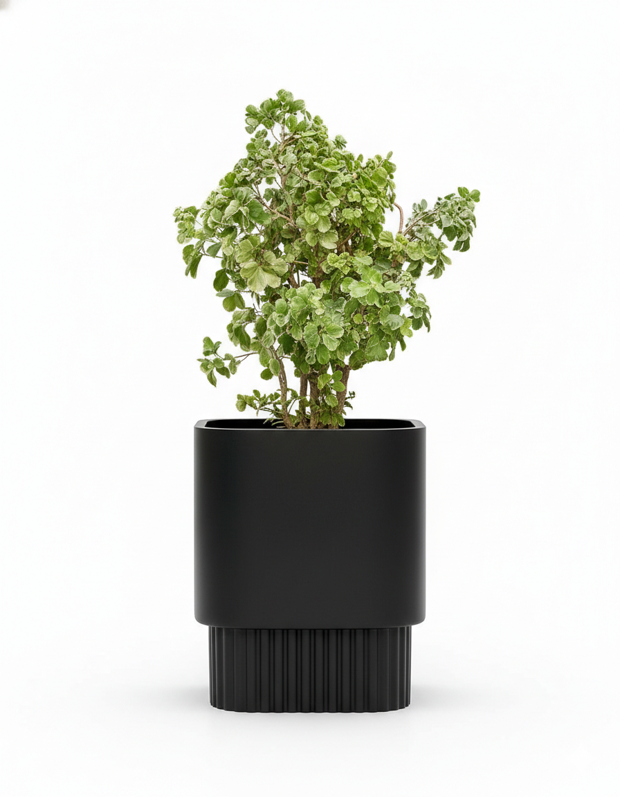 Groove - Black - Fiberglass Planter