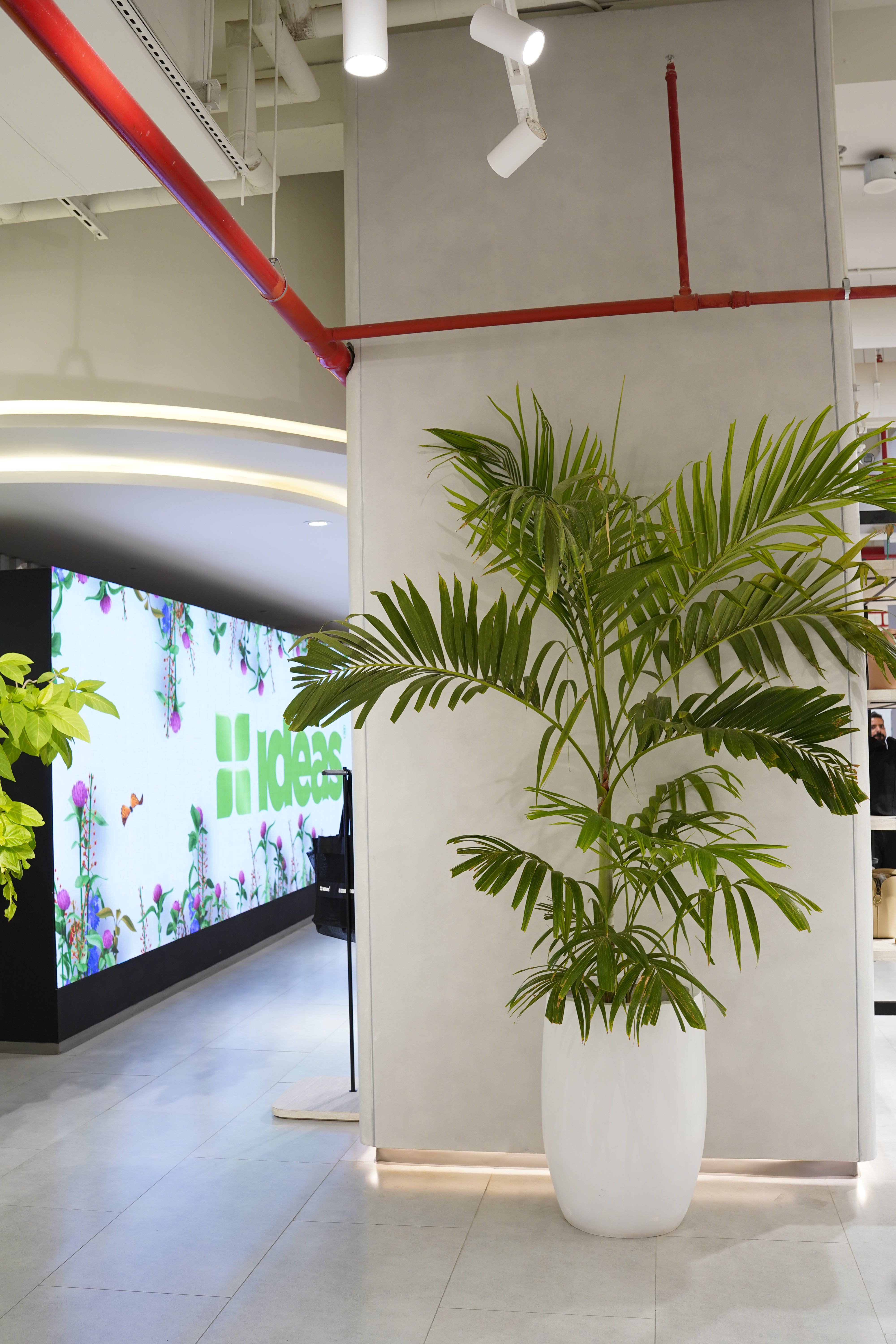 Snowcap - White - Fiberglass Planter