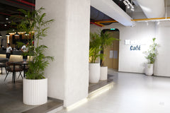 Ripple - White - Fiberglass Planter