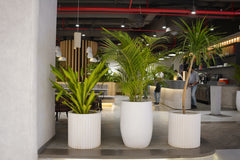 Snowcap - White - Fiberglass Planter