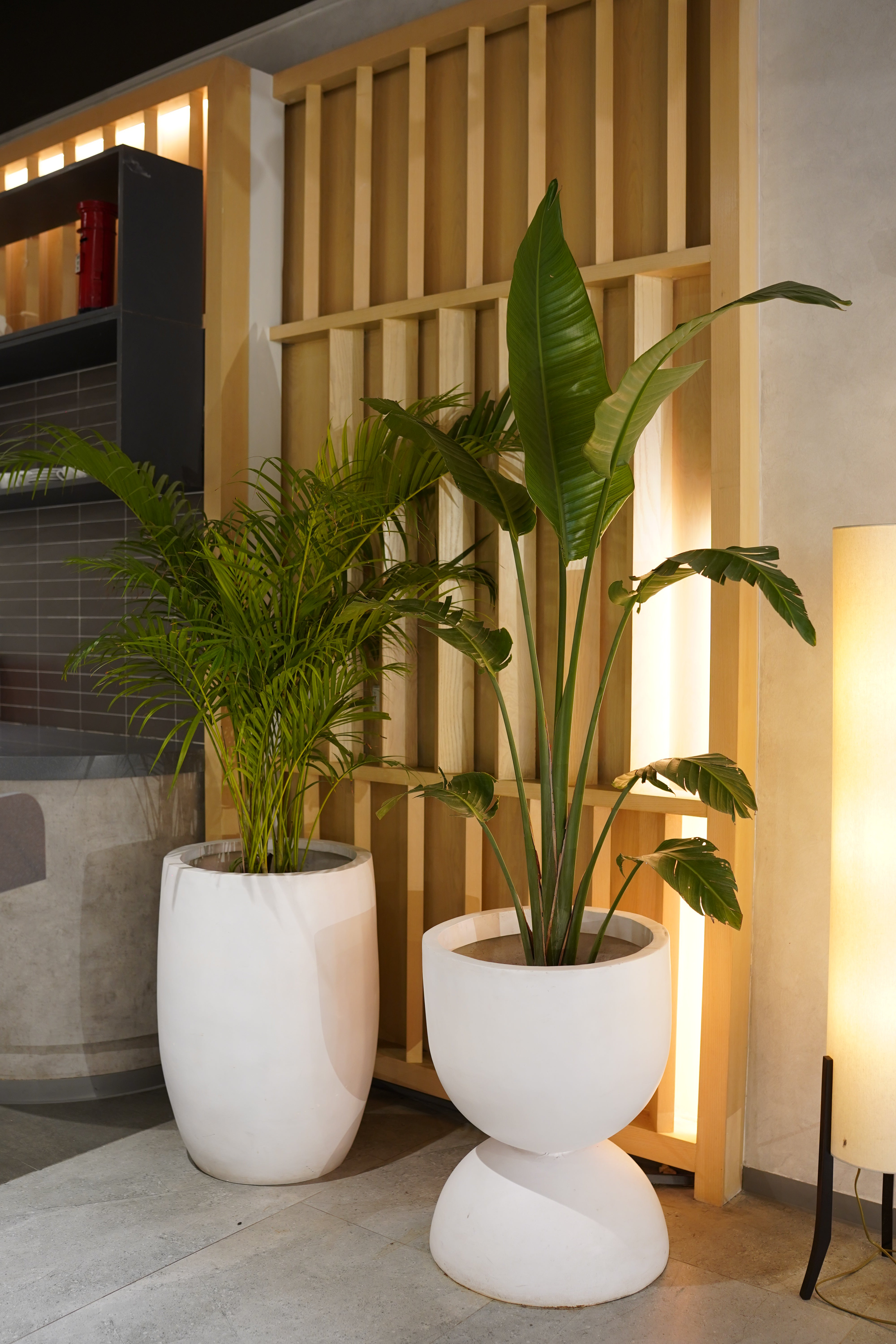 Snowcap - White - Fiberglass Planter