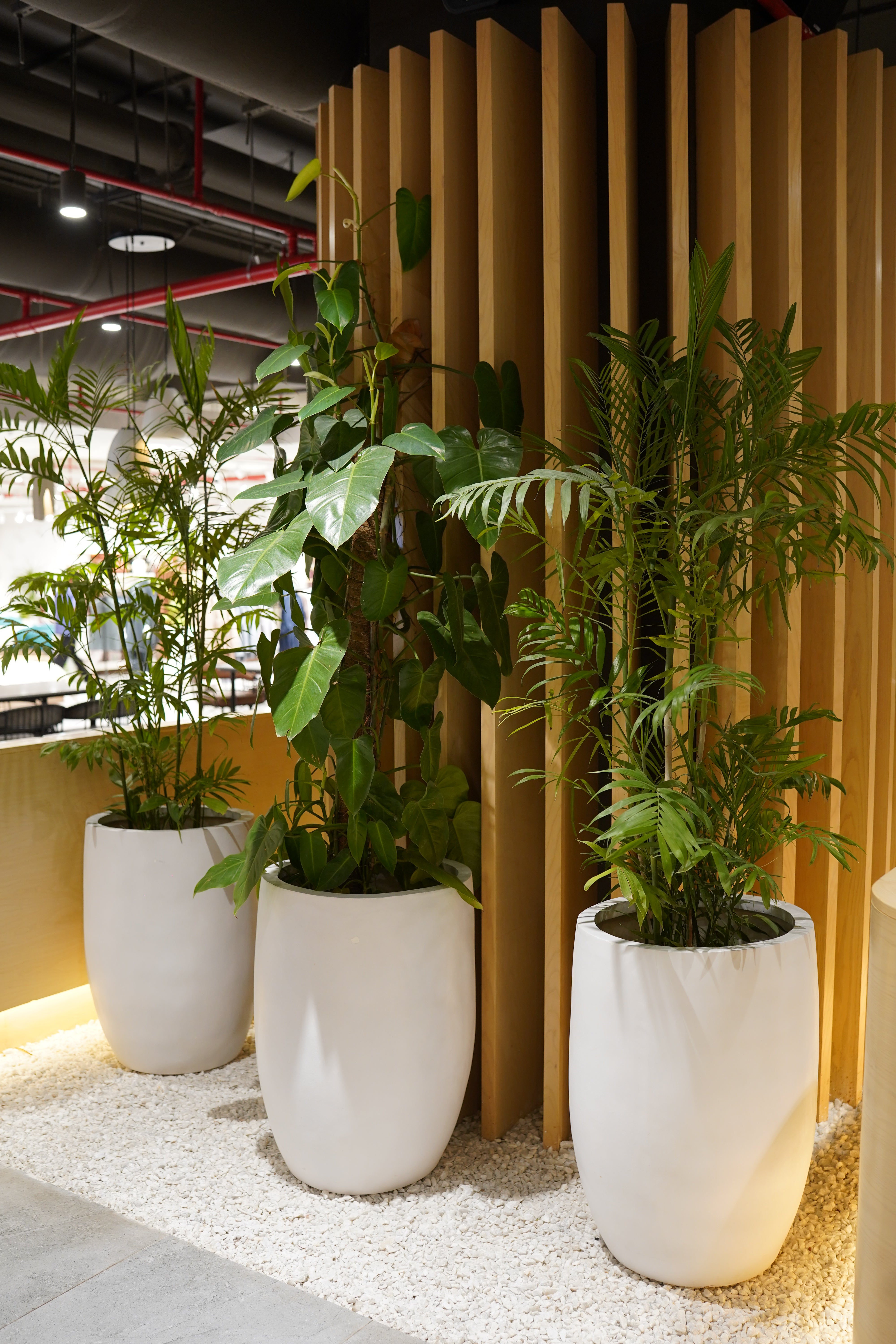 Snowcap - White - Fiberglass Planter