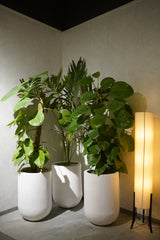 Rise - White - Fiberglass Planter