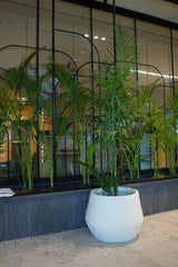 Belly - White - Fiberglass planter