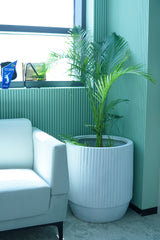 Opal Fluted - White - Fiberglass Planter