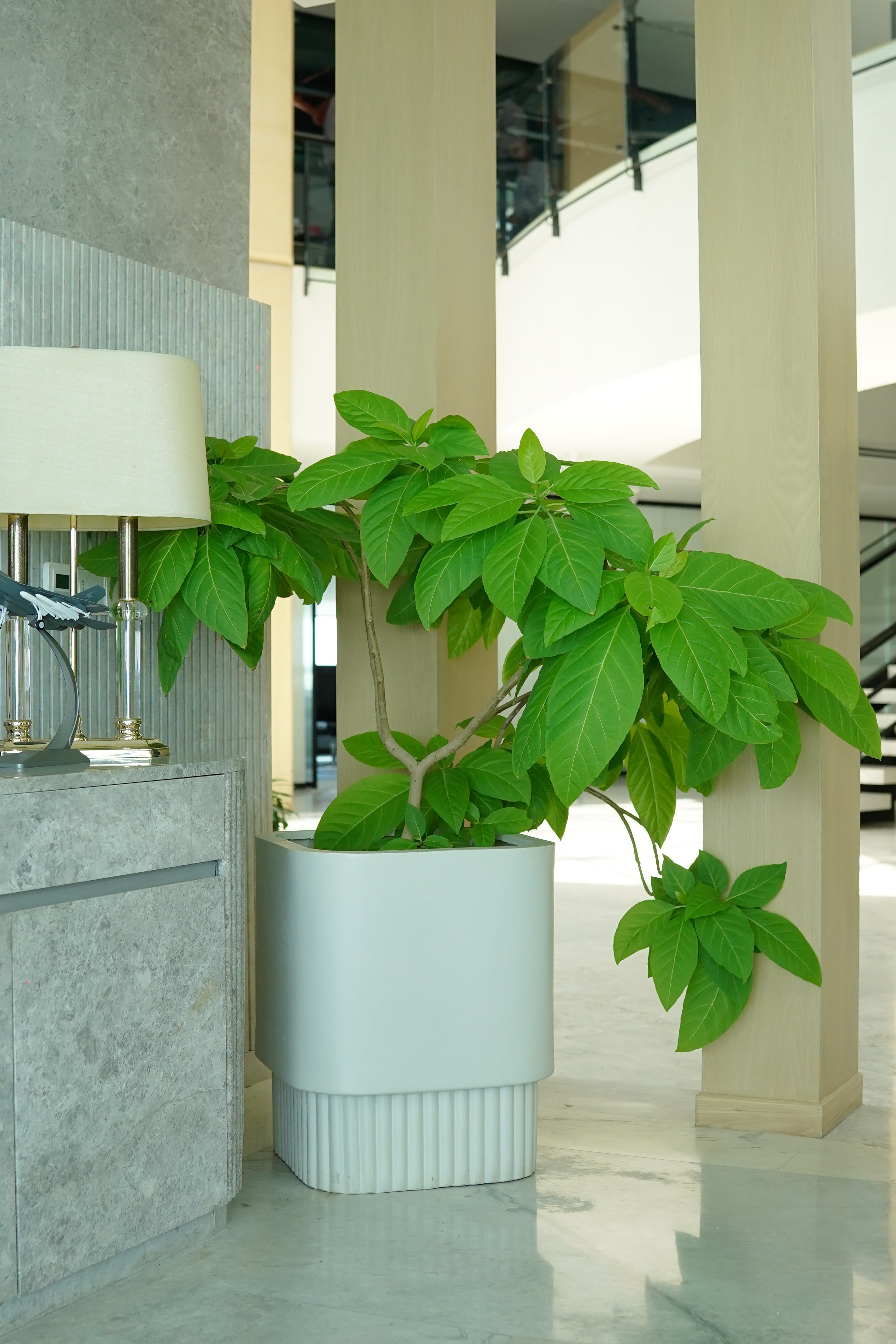 Groove - Ivory - Fiberglass Planter