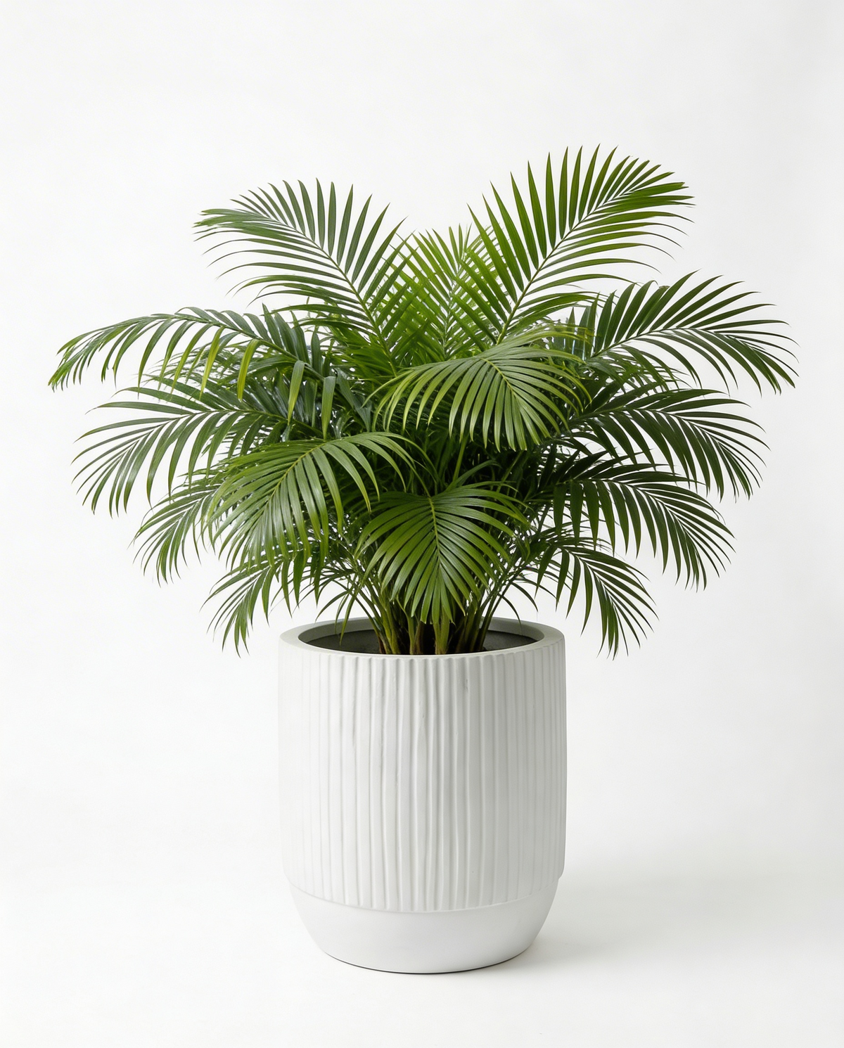 Opal Fluted - White - Fiberglass Planter