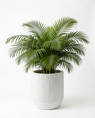 Opal Fluted - White - Fiberglass Planter