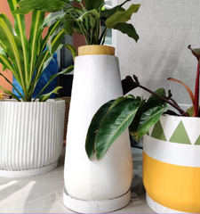 Winter Peak - Concrete Planter