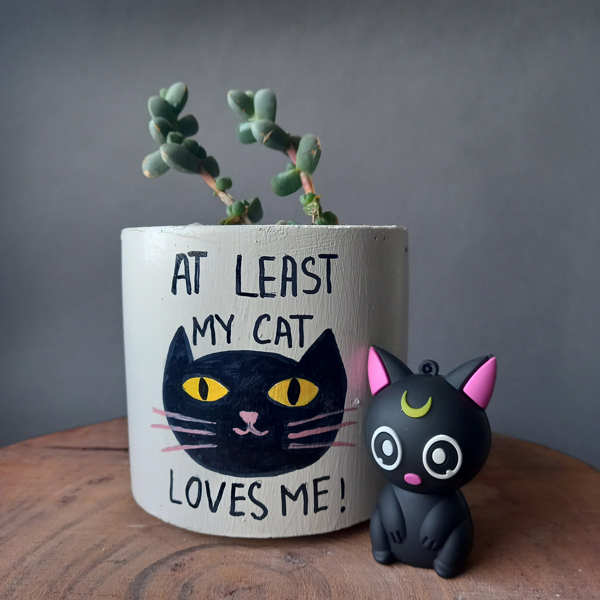 Cat love