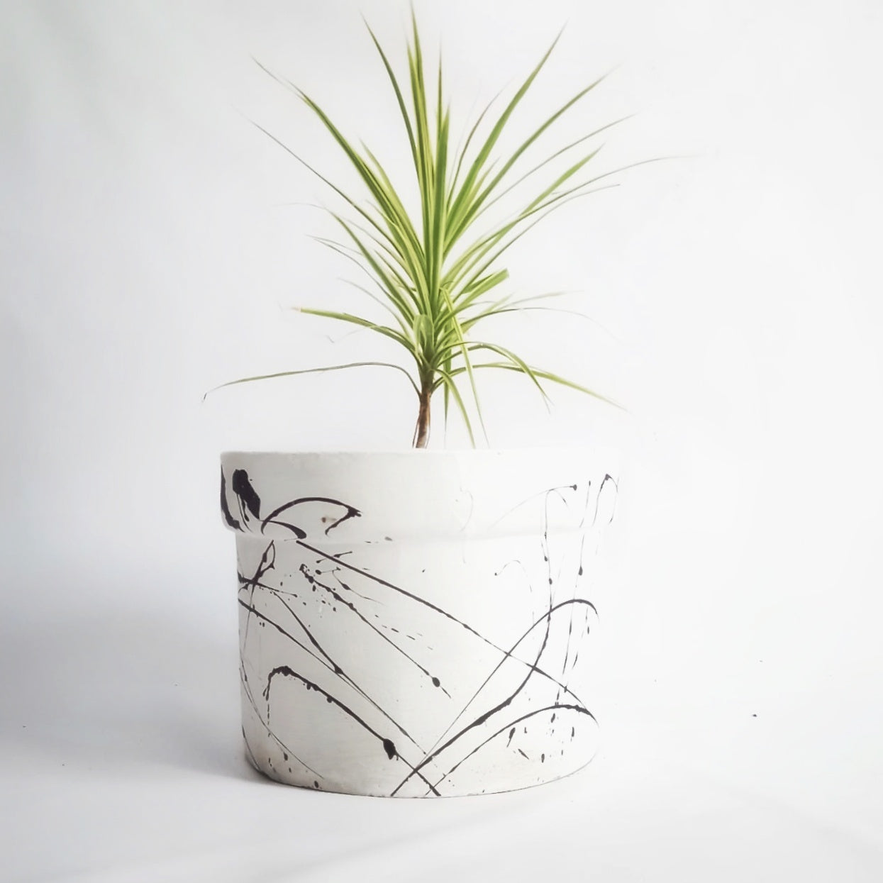 Decor - Splatter