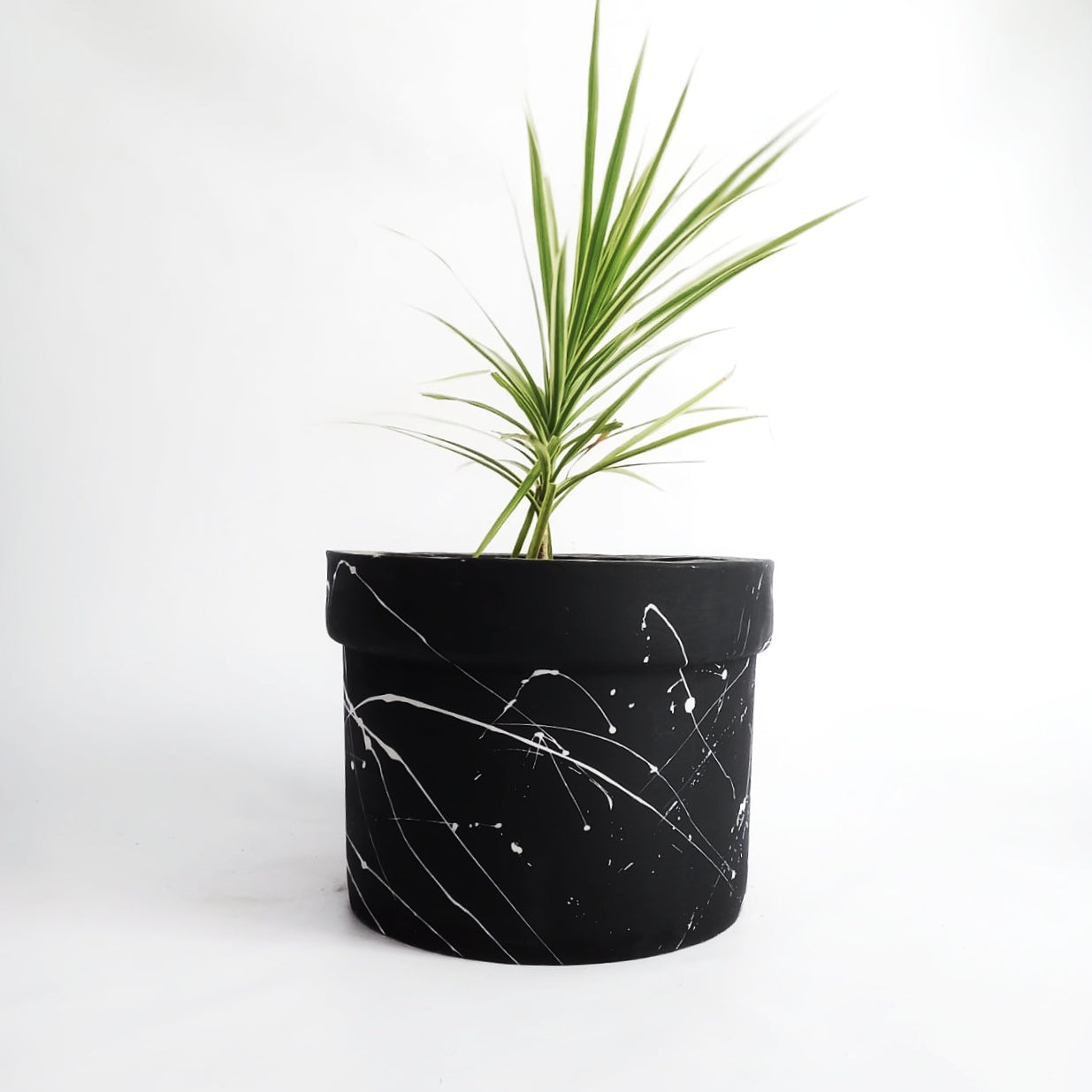 Decor - Splatter