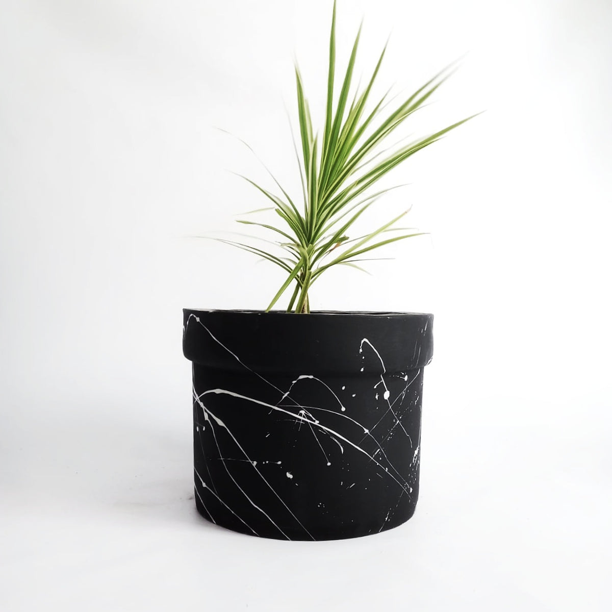 Decor - Splatter