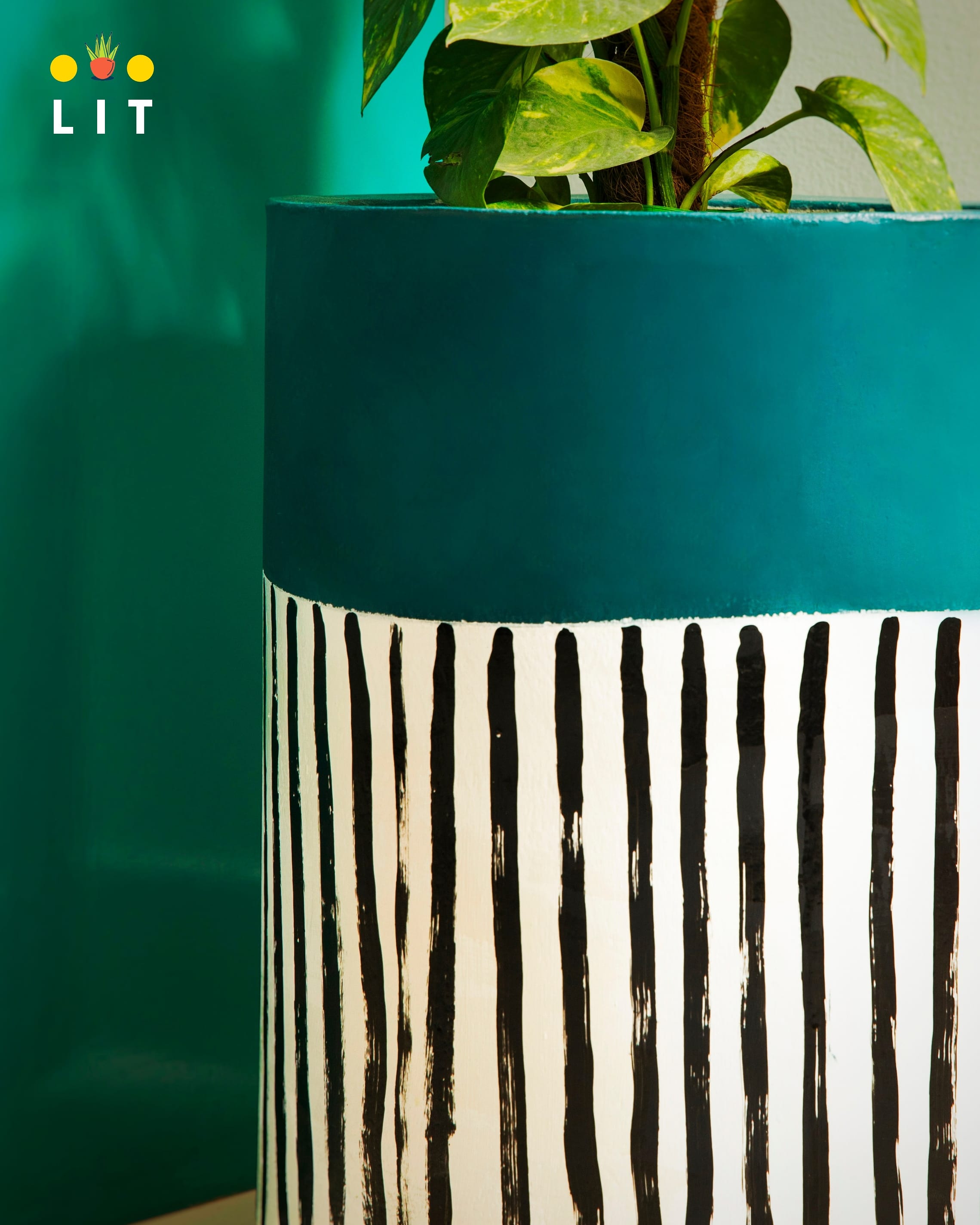 zebra print plant pot Concrete Planters by LIT