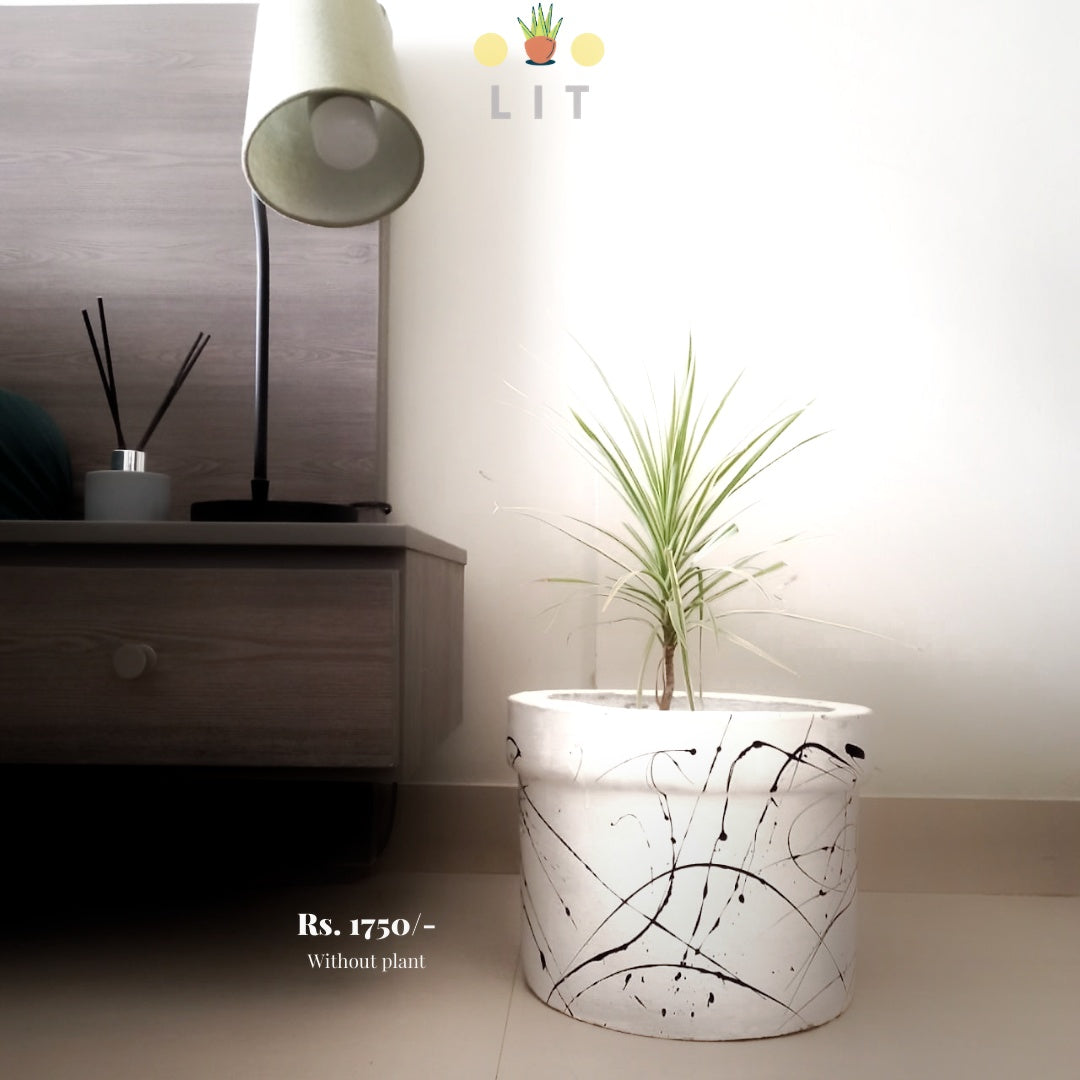 Decor - Splatter